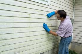 Best Vinyl Siding Installation  in Winthrop, MN